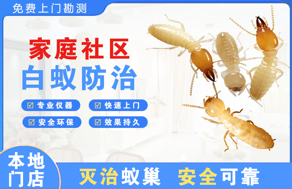 岑溪家庭社区白蚁防治