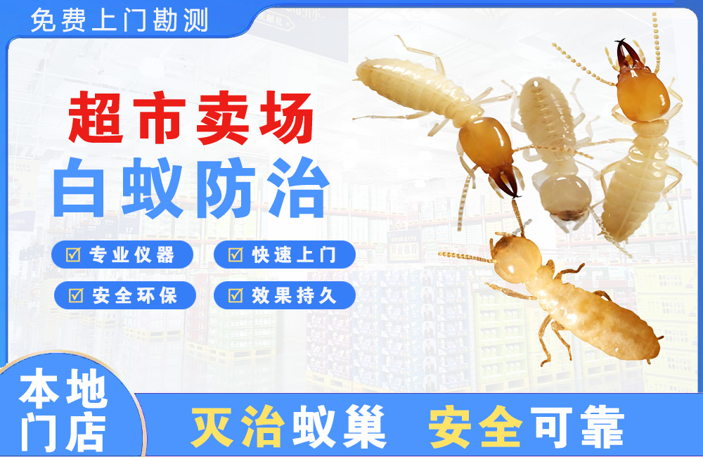 岑溪超市卖场白蚁防治