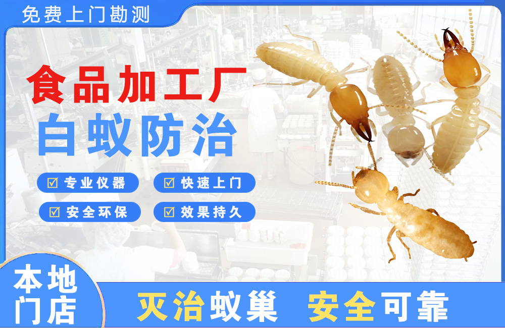 岑溪食品加工厂白蚁防治