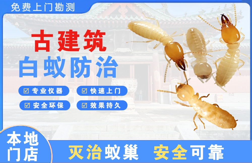 岑溪古建筑白蚁防治