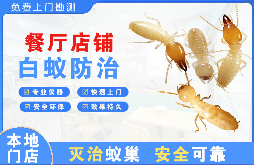 岑溪餐厅店铺白蚁防治